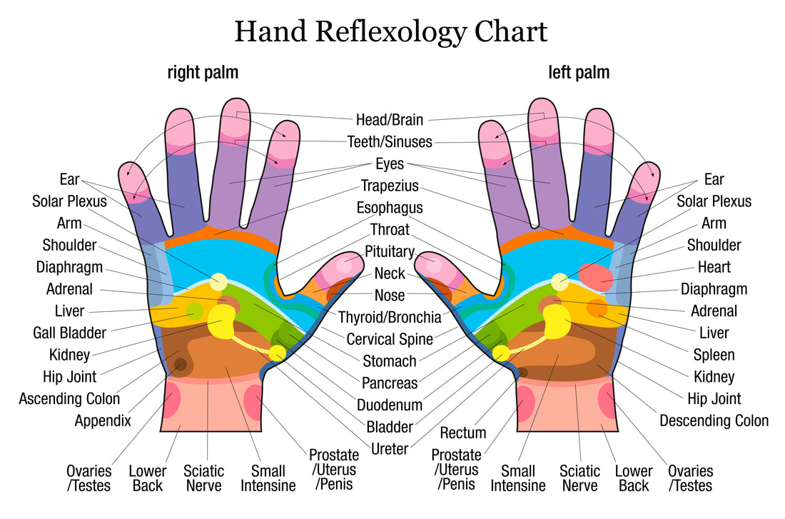 Oils for Hand Evaluation